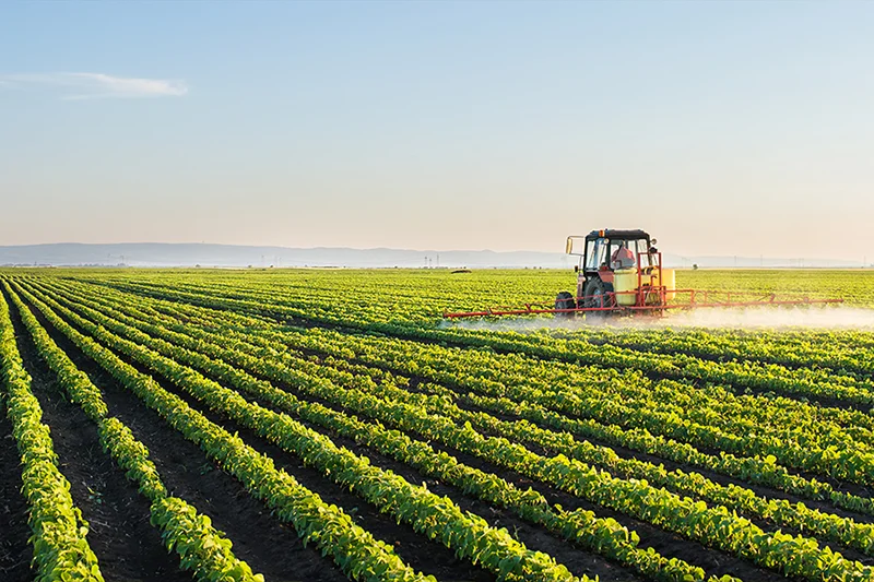 Земјоделство